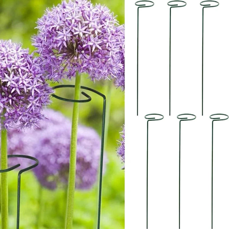 Description Picture 3 of item6pcs Plant Stakes For Climbing Plant For Flowers Single Garden Orchid Plant Stakes Rose Flower Stem Stem Plant Support