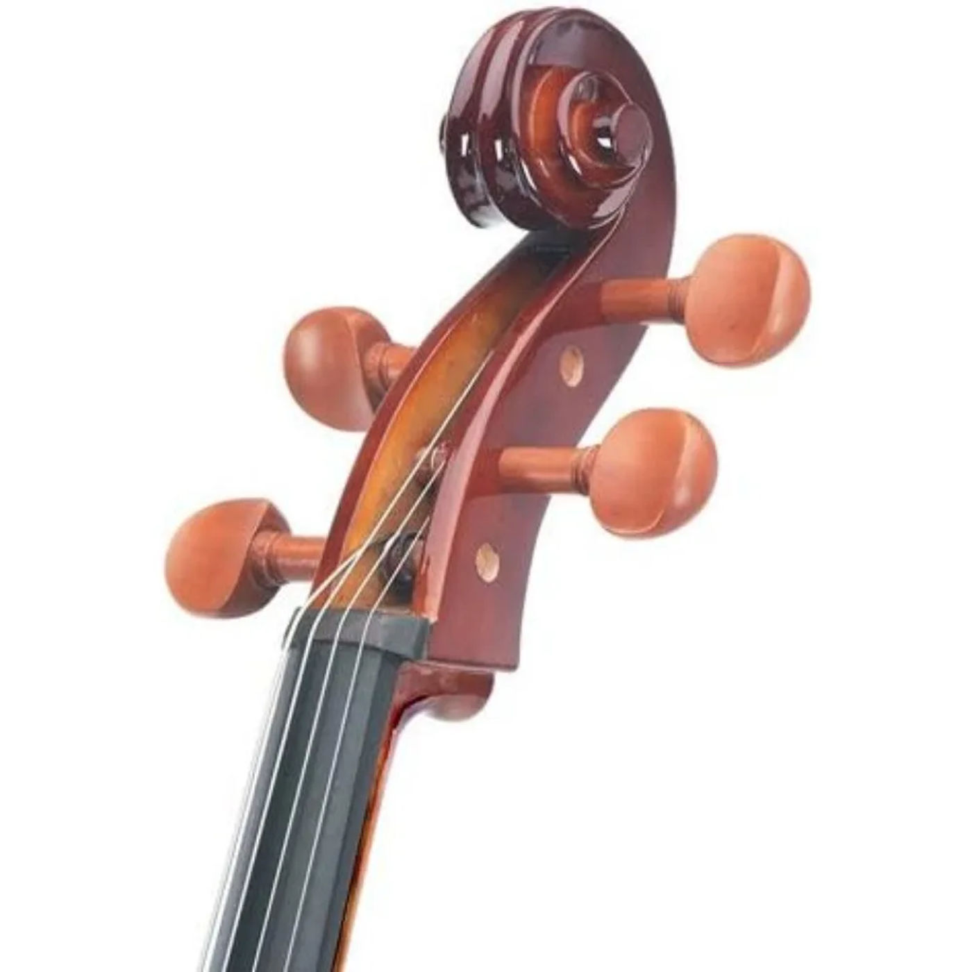 Description Picture 6 of itemCCO-300 Solid Wood Cello with Hard & Soft Case, Stand, Bow, Rosin, Bridge and Extra Set of Strings, Size 4/4 (Full Size)