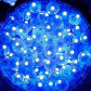 Blue Light