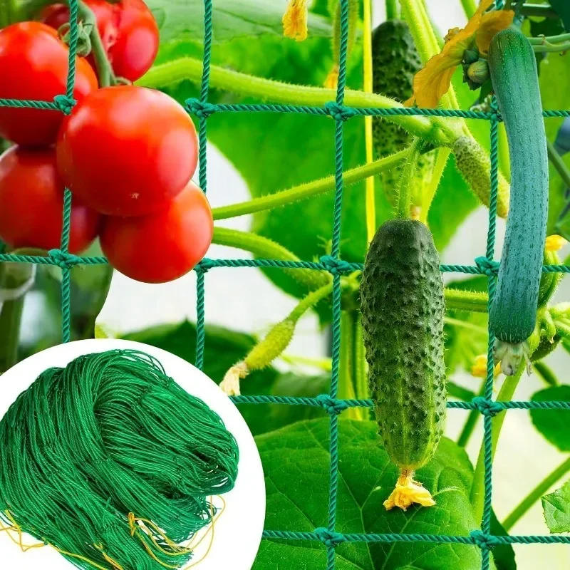 Description Picture 3 of itemPlant Climbing Netting High-quality Nylon Plant Trellis for Garden Vine Climbing Vegetable Loofah Morning Glory Flowers Growing
