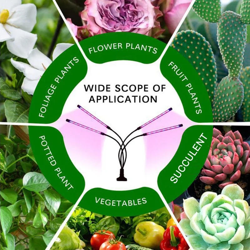 Description Picture 4 of itemLED Grow Lights For Plants,Full Spectrum Plant Growing Lamp For Hydroponics Plants,Multi-Level Dimmable,Support Timing