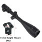 11MM Tall
