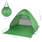 Type 1 Green