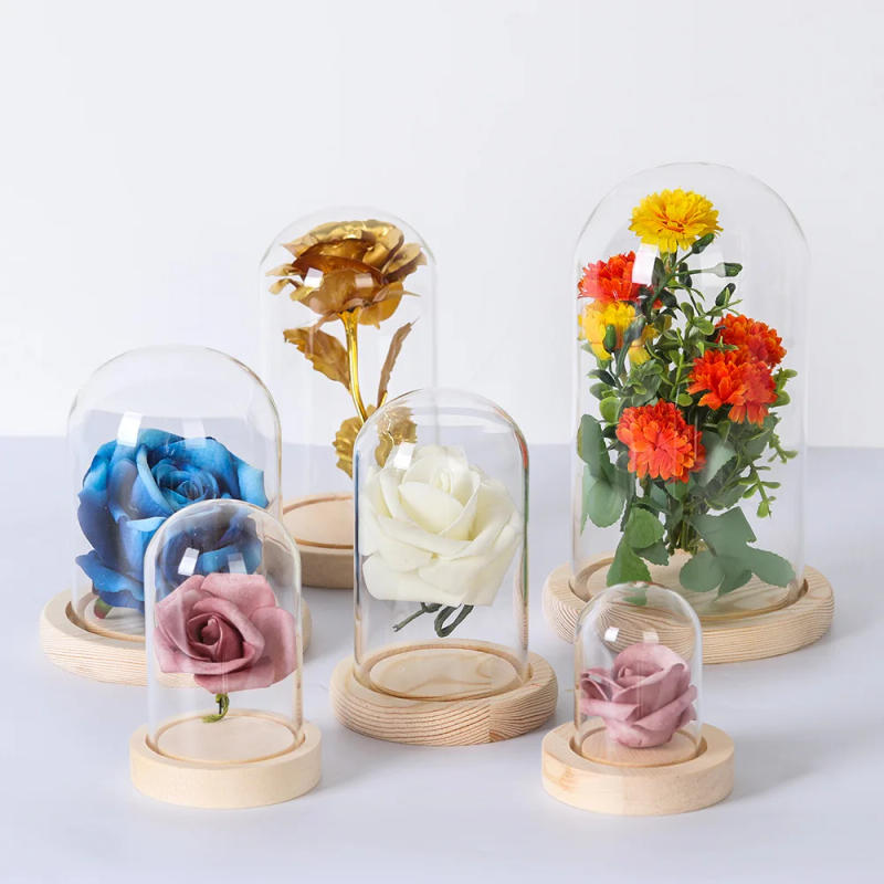Description Picture 3 of itemDry Flower Glass Dust Cover with Wooden Base Immortal Flower Display Stand Clear Glass Vase Glass Cloche Plant Bottle Home Decor