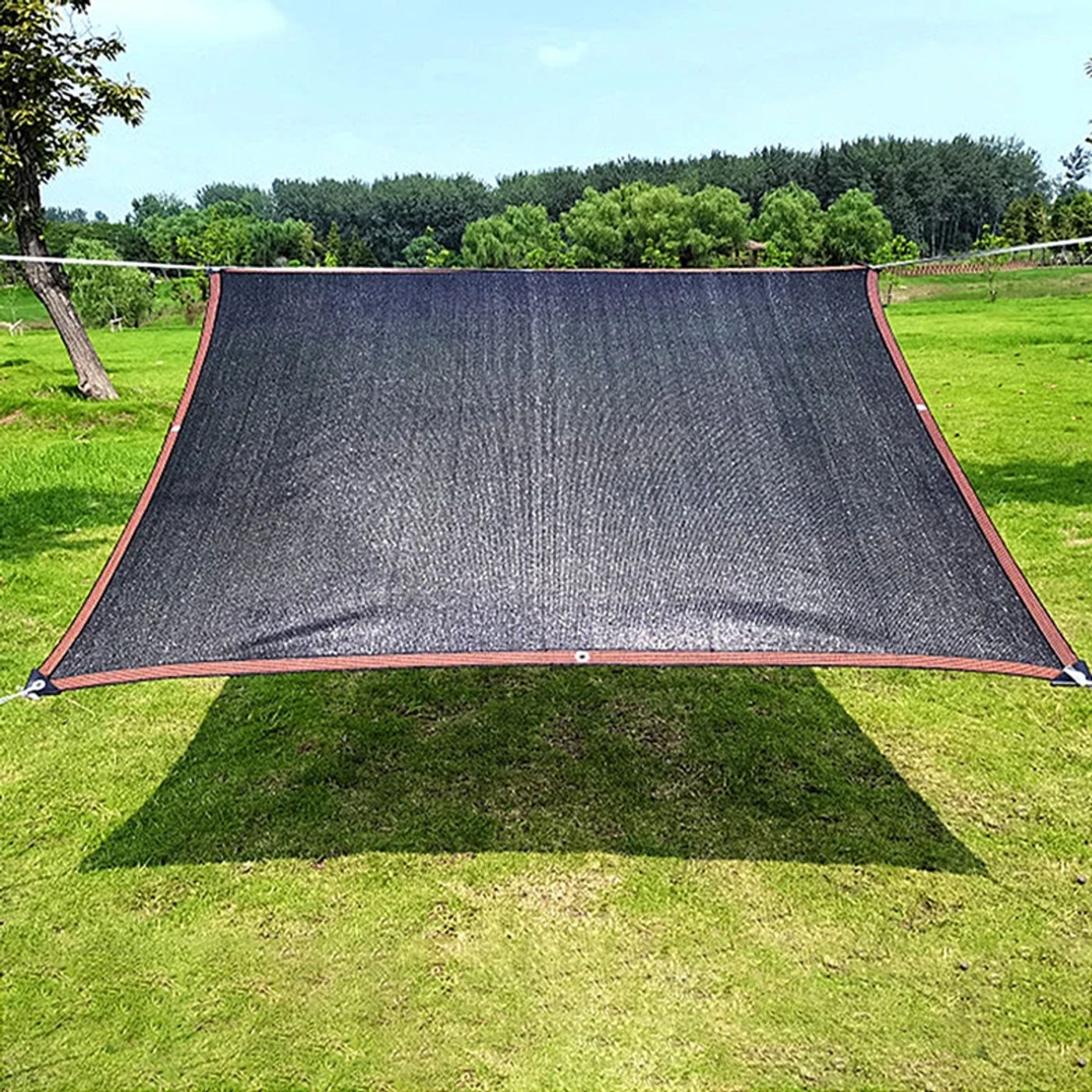 Slide d1a2c3a8f6e4498997d6495ab4673ec5