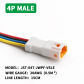 4P Male