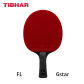 6 star FL handle