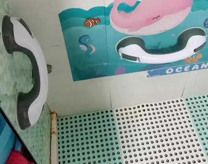 Description Picture 4 of itemBarrier Free Handrail Safety Non-slip Bath Shower toilet Grab rail Bars for Elderly disable helper Glass Door Suction Cup Handle