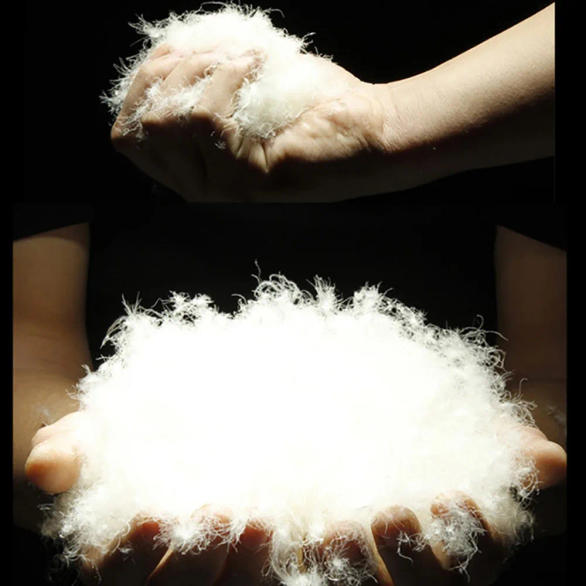 Slide 4136eff572944788b6fc6650e2d6fee4