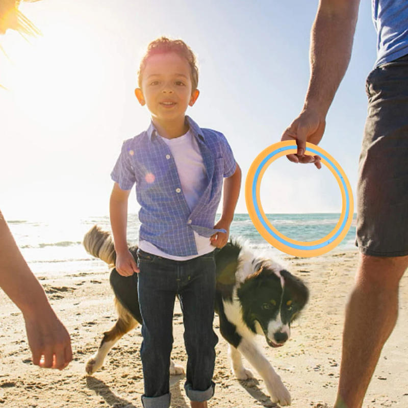 Description Picture 6 of item25cm Swivel Flying Discs Professional Throwing Disc Children Adult Outdoor Playing Flying Saucer Game Pet Interactive Dog Toys