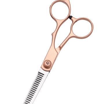 5.5 6.0 Entry Level Professional Hair Scissors Cutting Thinning Scissors Barber Shop Apprentice, School Students, Home 1000#