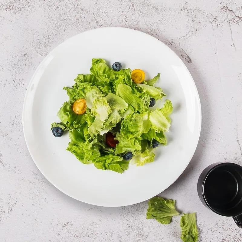 Description Picture 6 of itemDinner Plates Set of 12, Tempered Glass White Plates, 10-1/2-Inch Round Dish Set, Microwave & Dishwasher Safe Glass Plate Set