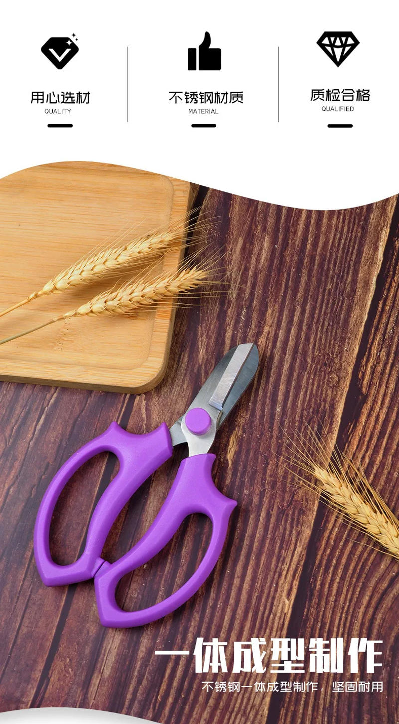 Description Picture 3 of itemStainless Steel Garden Pruning Scissors Flower Pruning Scissors Household Garden Fruit Picking Tools