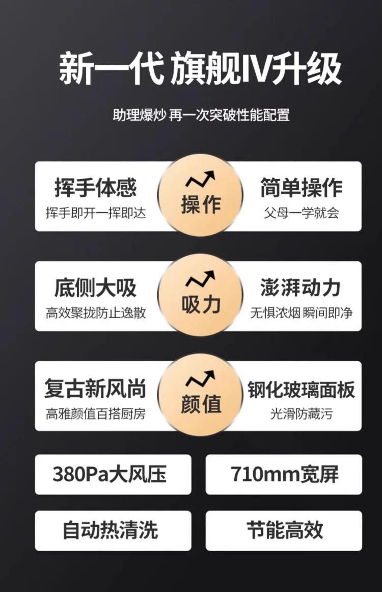 Description Picture 4 of item220V Goodwife High Power Range Hood Kitchen Ventilation Chinese Style Top Suction AG