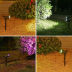 Slide image ad3c8d226f8d4bf9ada1fba000729e83