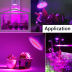 Slide image eaba525763c34bde917df70bee851ad5