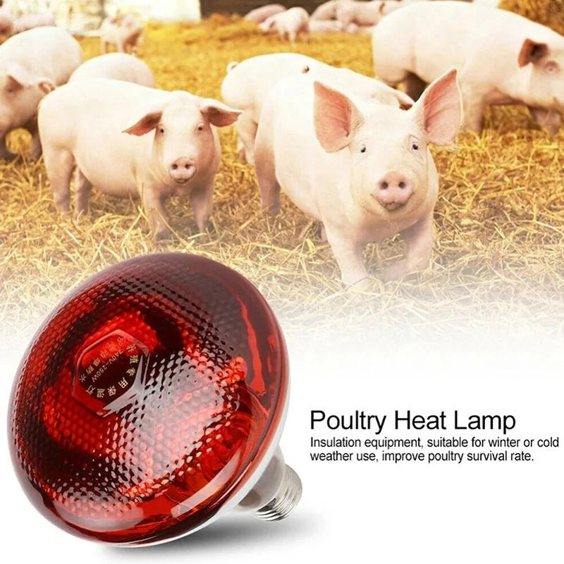 Description Picture 3 of item250W Poultry Infrared Heat Lamp Waterproof Anti-Explosion Thickened Light Bulbs â€‹For Piglet Chicken Duck Birds E27 Heating Lamp