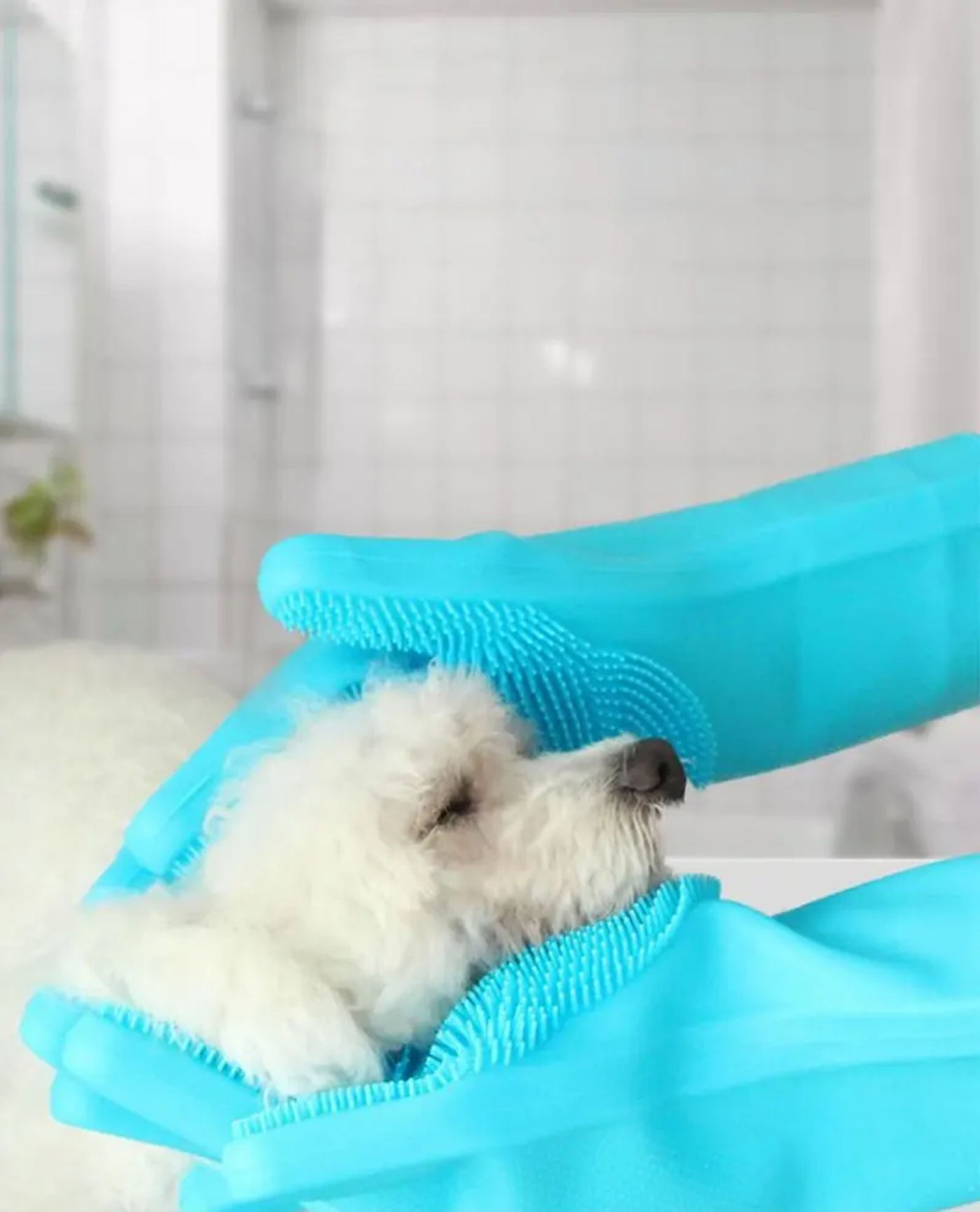 Description Picture 5 of itemPet Grooming Cleaning Gloves Dog Cat Bathing Shampoo Glove Pet Accessories For Cats Shower Cleaning Tools