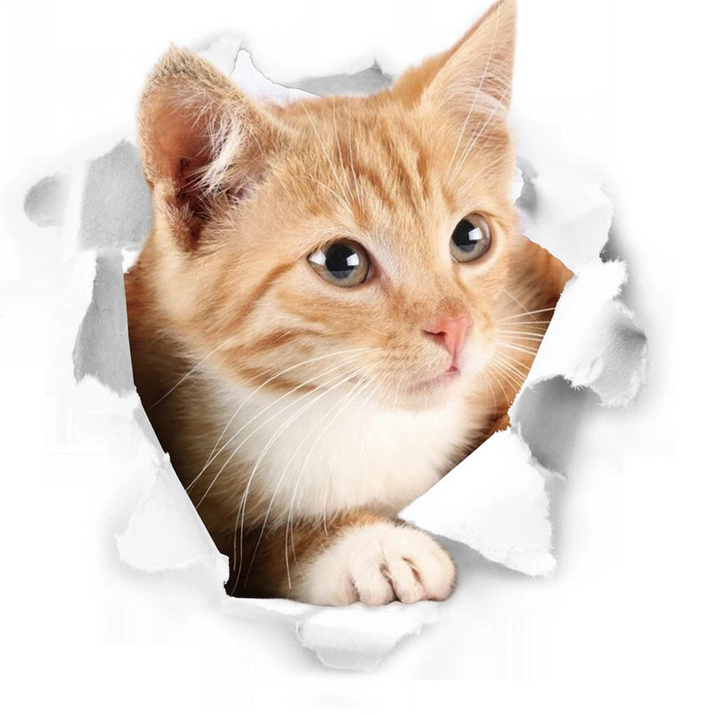 Description Picture 3 of itemFunny Cat Dog Toilet Stickers Vivid 3D Cartoon Diy Wc Washroom Home Decoration Cute Kitten Puppy Pet Animals Wall Art Decals