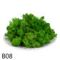 B08