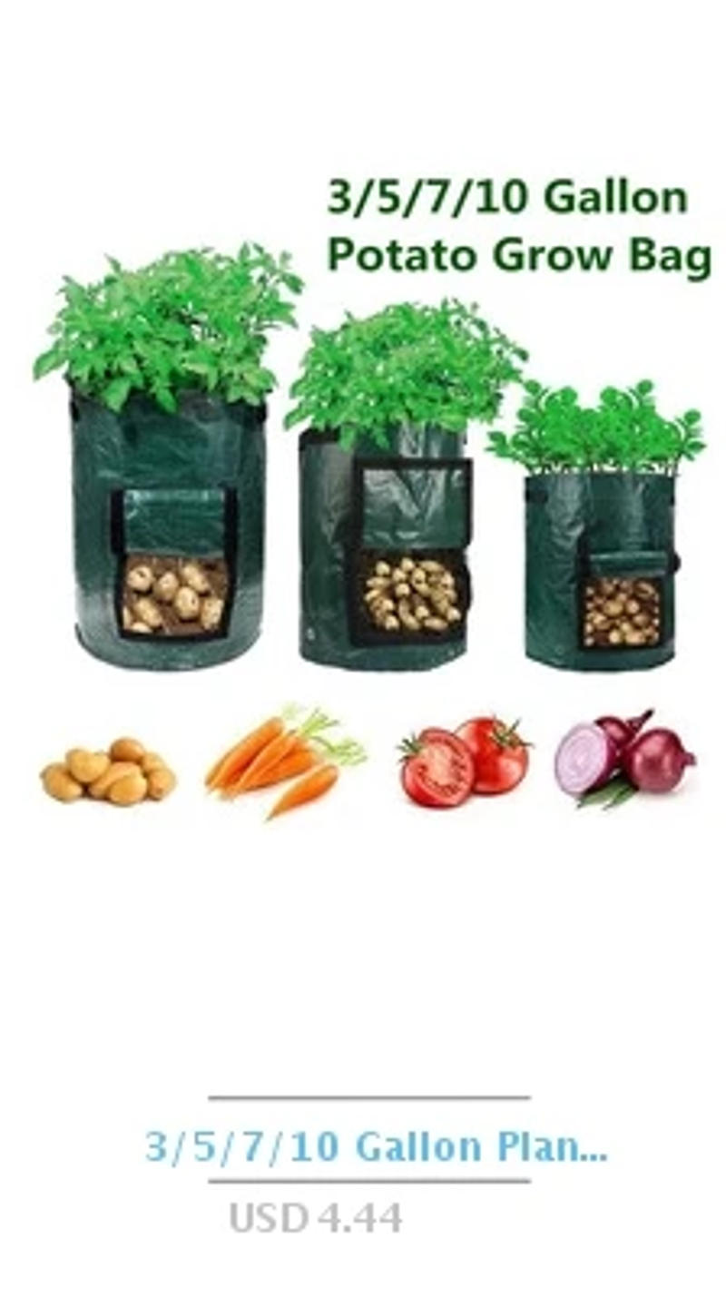 Description Picture 4 of item100pcs Plant Grow Bags Non-woven Fabric Nursery Crop Seedling Bags Planter Pots Container Garden Tools Supplies Biodegradable