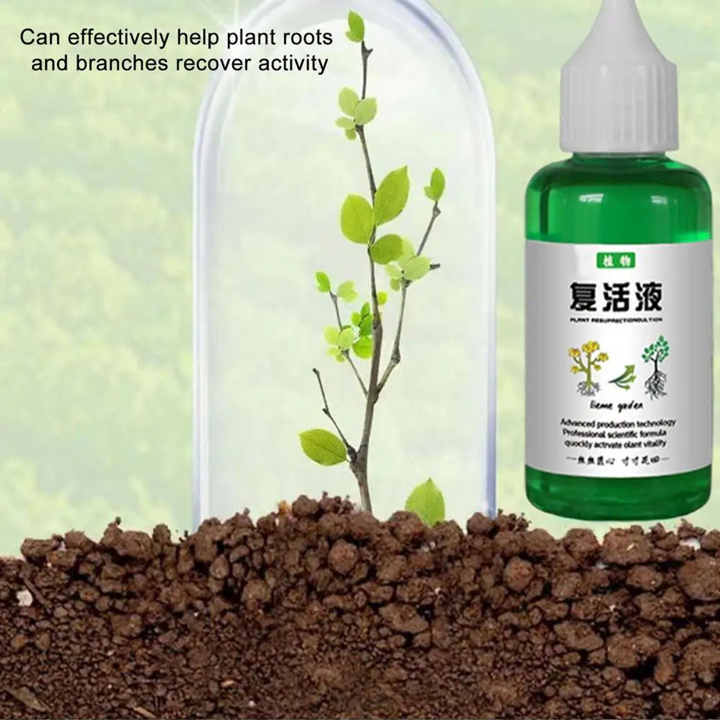Description Picture 3 of itemPlant Revitalizer 50ml Flower Fruit Vegetable Fertilizers Promotes Healthy & Strong Growth Outdoor Soil Plant Food Effective