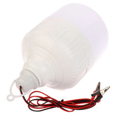 50W 12V Portable Clamp Lamp Emergency Lights Rechargeable LED Lantern Outdoor Tent Lamp BBQ Fishing Camping Lighting Bulbs