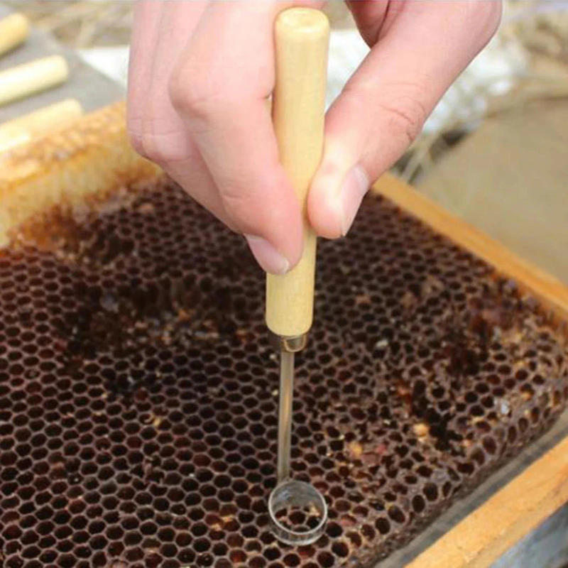 Description Picture 4 of itemBeekeeping BeeHive Tools Beehive Cleaning Scraper Functional Honey Remover Beekeepers Supplies Beekeeper Garden Equipment