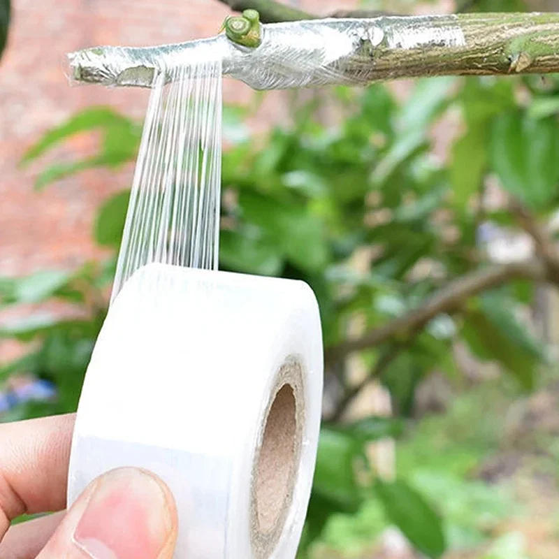 Description Picture 4 of item1PCS PE Flexible Grafting Tape Film Self-adhesive Garden Tree Roll Tape to Graft Trees Plants Graft Stretchable 3/4cm Width