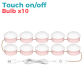 pink-10 Bulbs