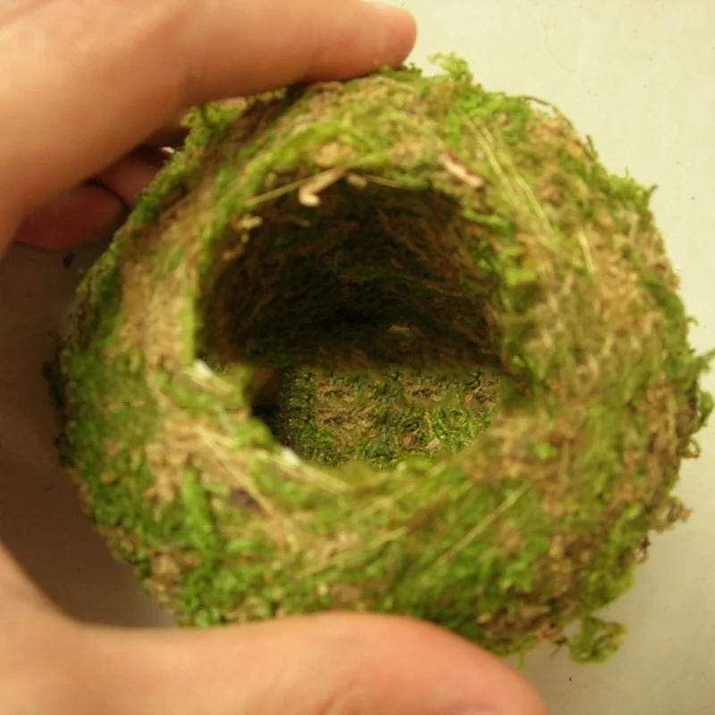 Description Picture 4 of itemArtifical Moss Ball Green Flowerpot Creative DIY Gardening Potted Plants Bonsai Dendrobium Planting Box Home Decoration