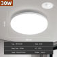 30W White B
