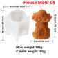 house mold 05
