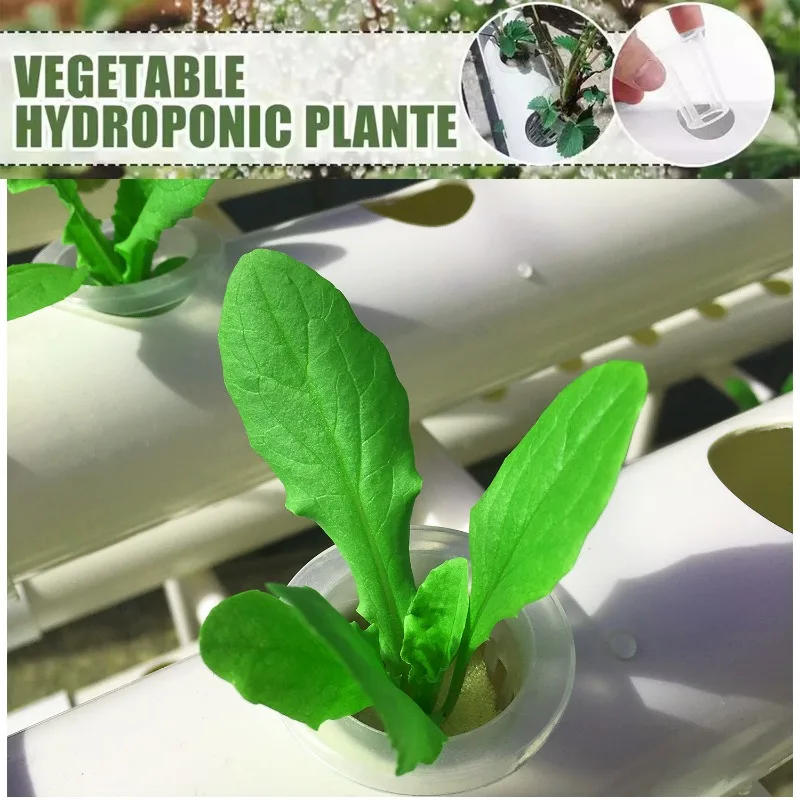Description Picture 6 of itemHydroponics Growing System Kits 36 Sites Food PVC-Pipe Hydroponic Garden Soilless Cultivation Vegetables Planting Tools