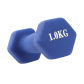 1kg 1pc blue