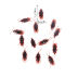 Slide image fe1edfbffbc34fd3abda656aadf42e7f