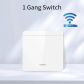 1Gang Switch