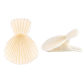 Conch