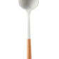 a soup spoon