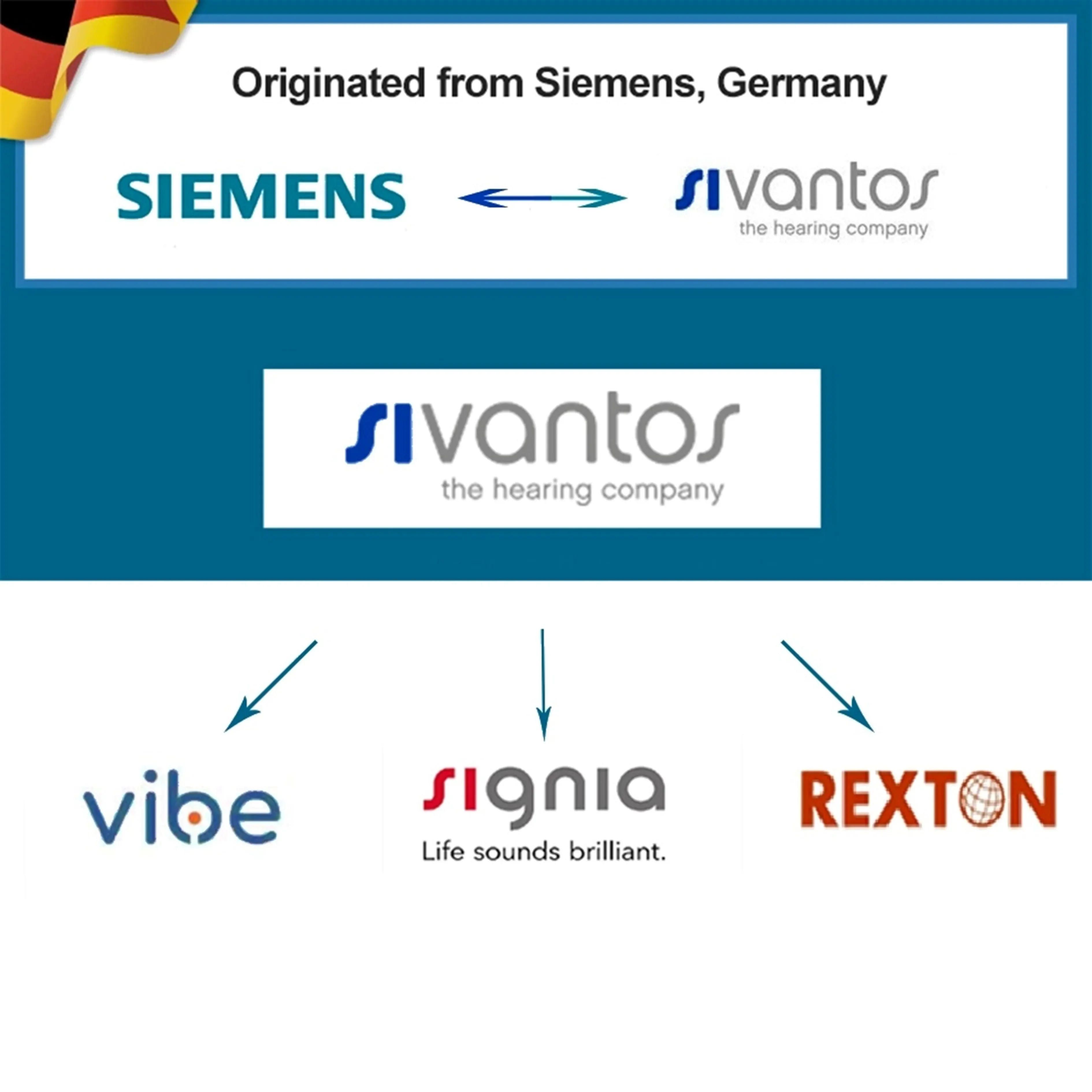 Description Picture 2 of itemRexton Invisible Hearing Aids APP Programmable Digital Hearing aid Mobile Phone Remote Adjust Hearing Care