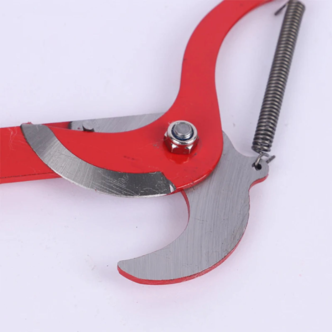 Description Picture 6 of item1Pcs Telescopic High-altitude Scissors Fruit Picker High-altitude Cutting Branches High-altitude Pruning Branches Garden Tools