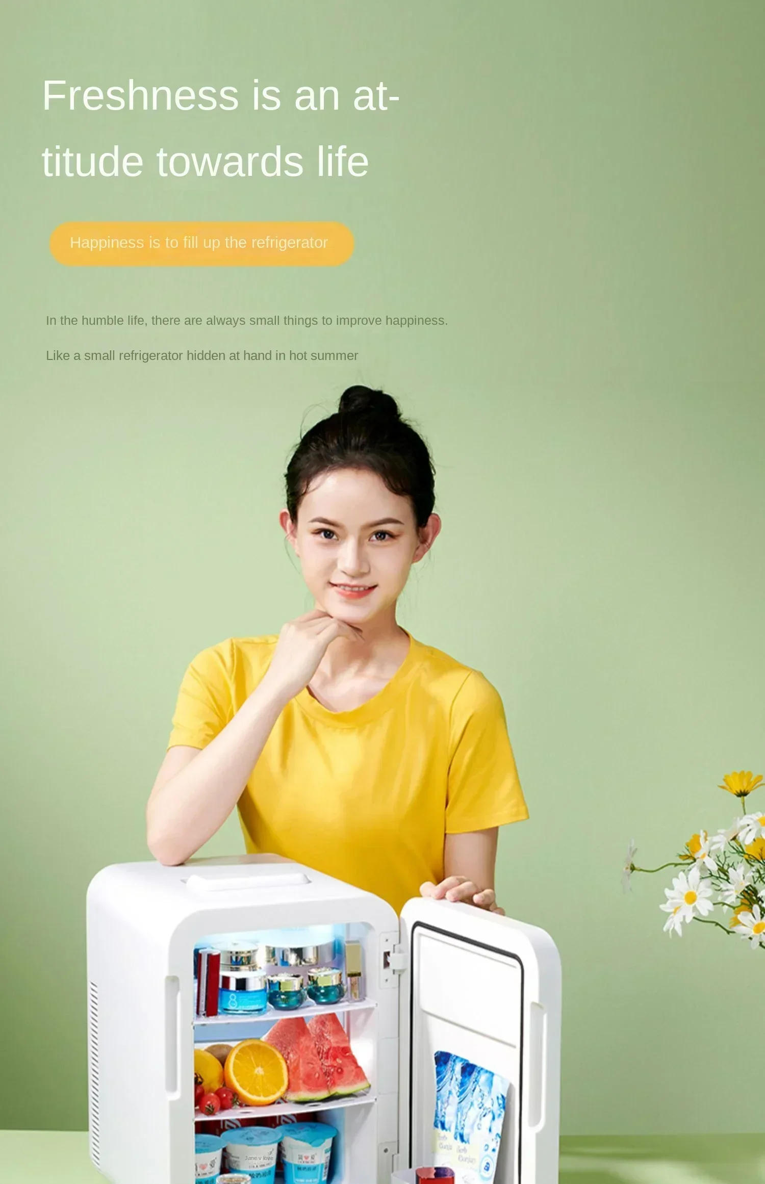 Description Picture 6 of item220V Mini Refrigerator Small Household Dormitory Car Mounted Refrigerator Mini Student Refrigeration Single Person Small  C