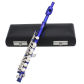 Blue Piccolo