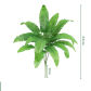 18Persian leaf