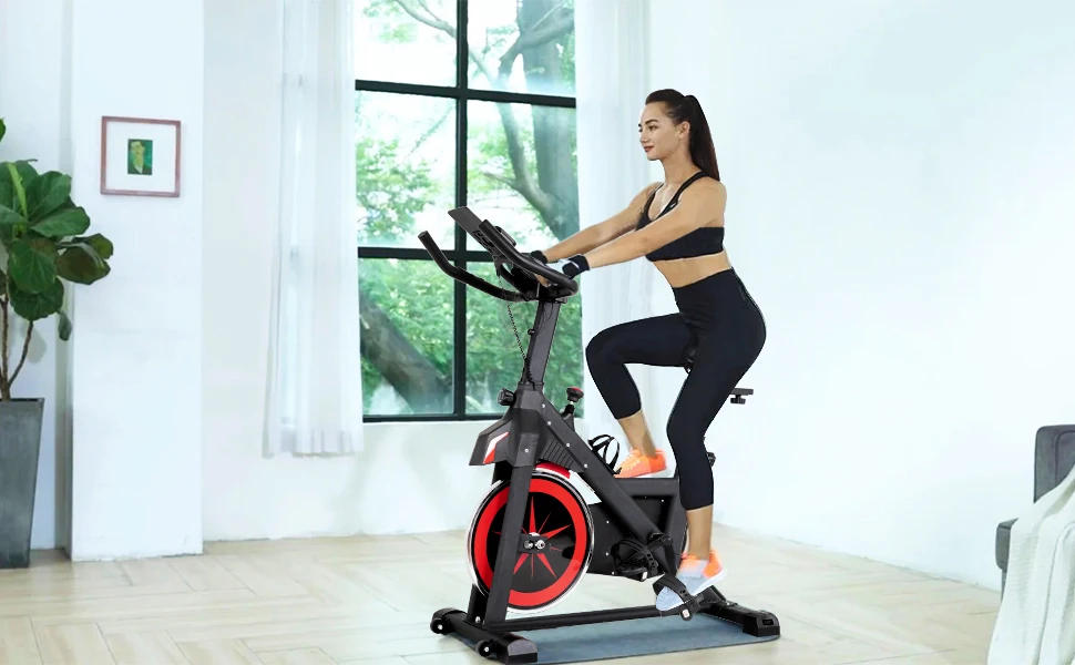 Description Picture 2 of itemExercise Bike Indoor Cycling Bike Stationary,Fitness Training Bike with Comfortable Seat Cushion,LCD Monitor Workout