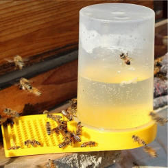 Bee Feeder Drinking Water Honey Bee Feeders Watering BeesSupplies Feeding Bee Drinker Beekeeping Equipment and Tools