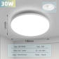 30W White Lamp