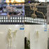 Slide image cdd390494fbb43fb900563711db8330f