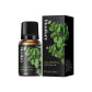 Eucalyptus 10mk