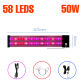 Type A-50W 58leds